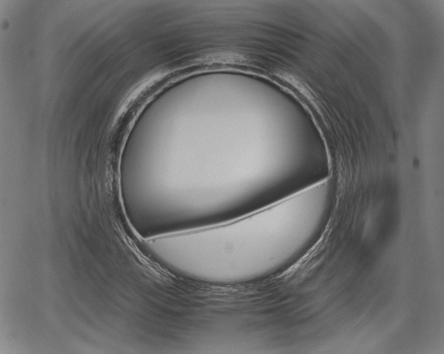 X0000067891115200604131007