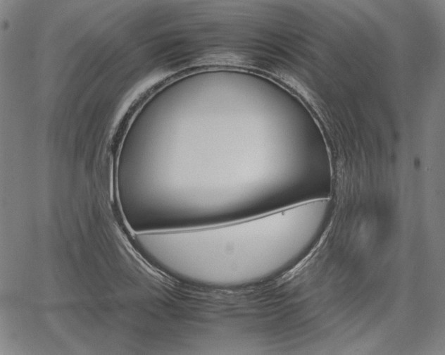 X0000067891123200604131007