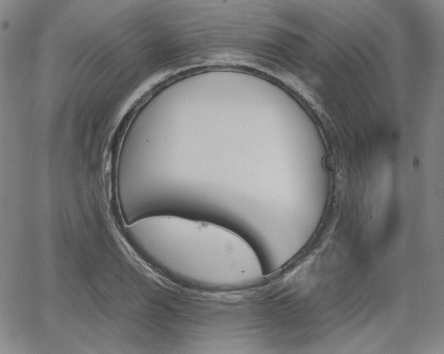 X0000067891126200604131007
