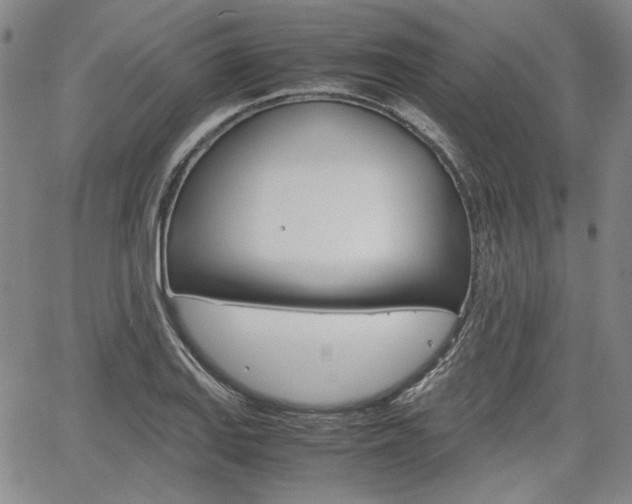 X0000067891127200604131007