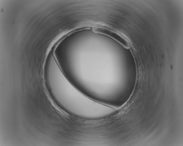 X0000067891128200604131007