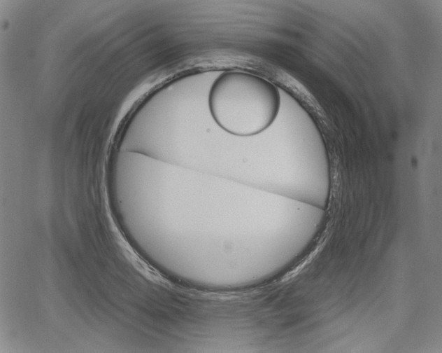 X0000067891130200604131007