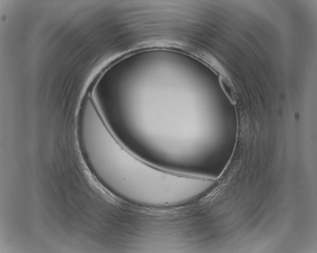 X0000067891132200604131007
