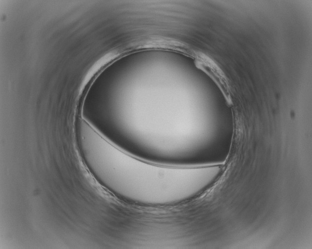 X0000067891138200604131007