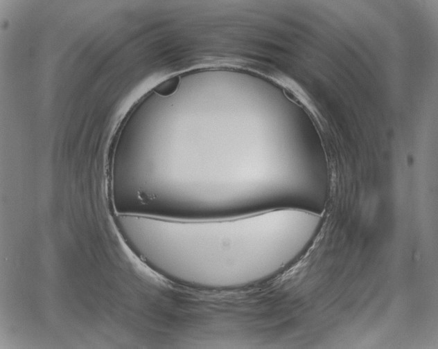 X0000067891143200604131007