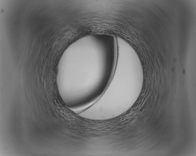 X0000067891153200604131006