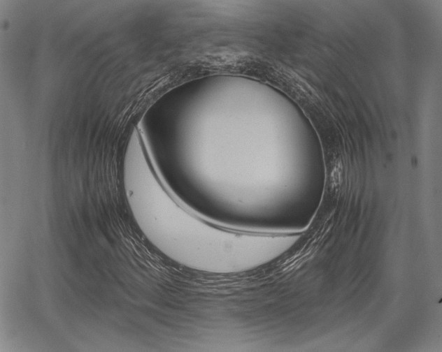 X0000067891156200604131006