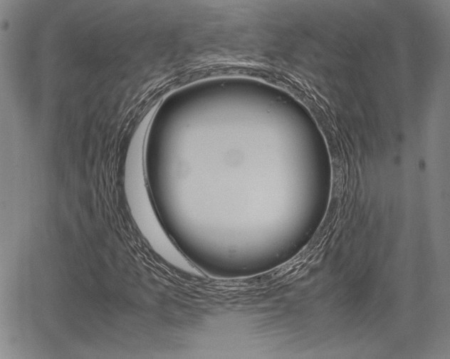 X0000067891157200604131006
