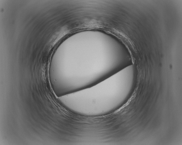 X0000067891162200604131006