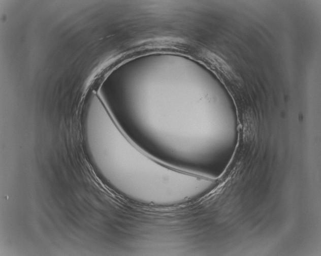 X0000067891164200604131006