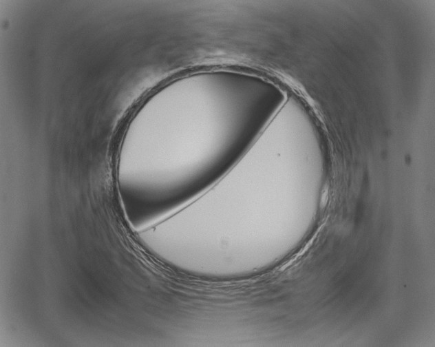 X0000067891167200604131006