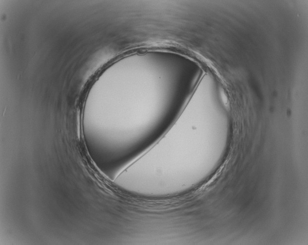 X0000067891171200604131006