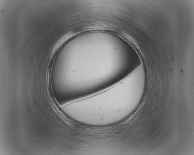 X0000067891179200604131006