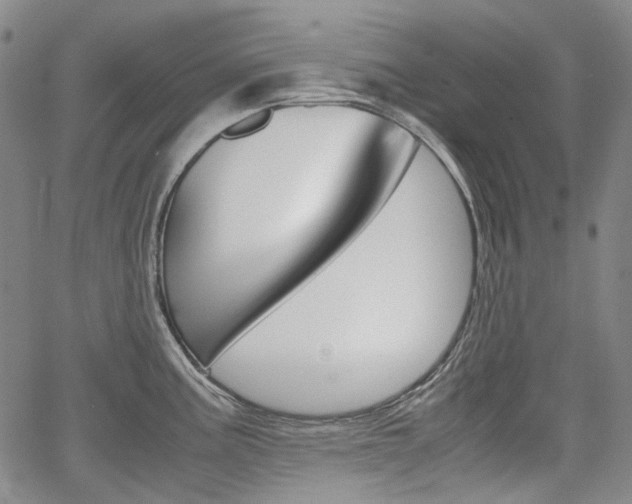 X0000067891195200604131006