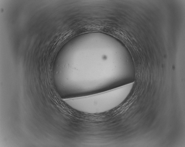 X0000067891201200604131005