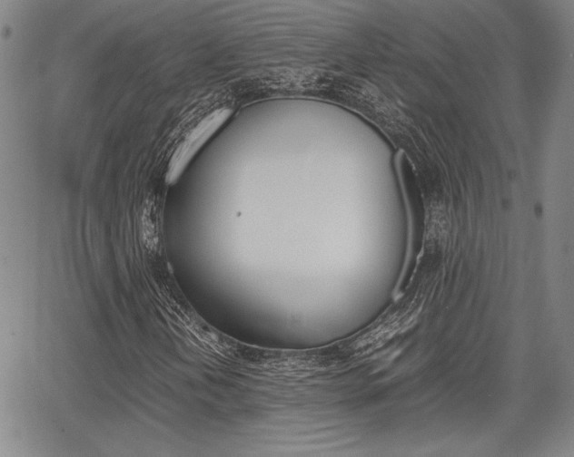 X0000067891202200604131005
