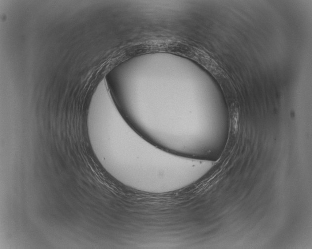 X0000067891204200604131005