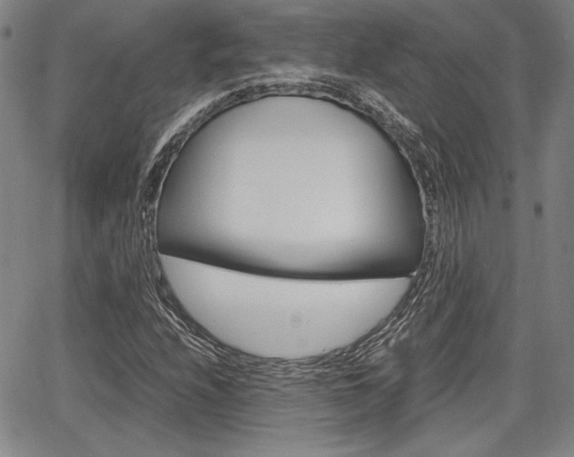 X0000067891208200604131005