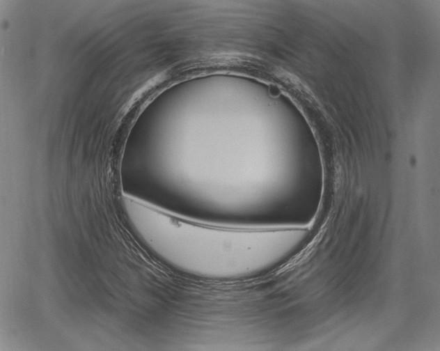 X0000067891210200604131005