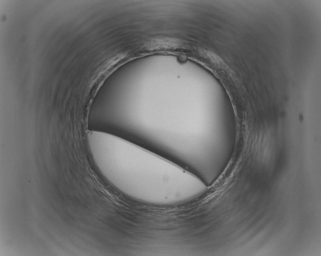 X0000067891217200604131005