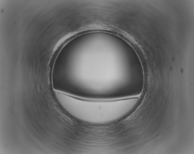 X0000067891222200604131005