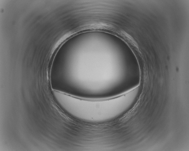 X0000067891226200604131005