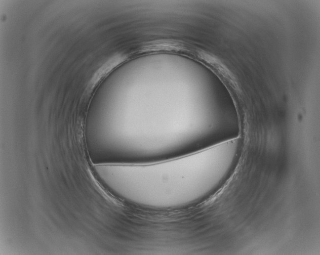 X0000067891233200604131005