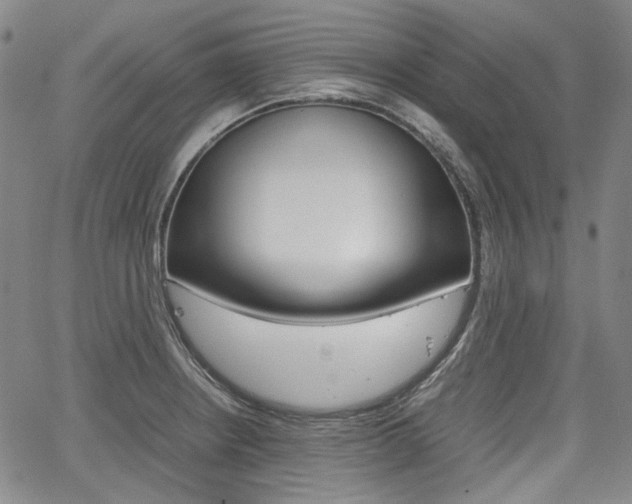 X0000067891234200604131005