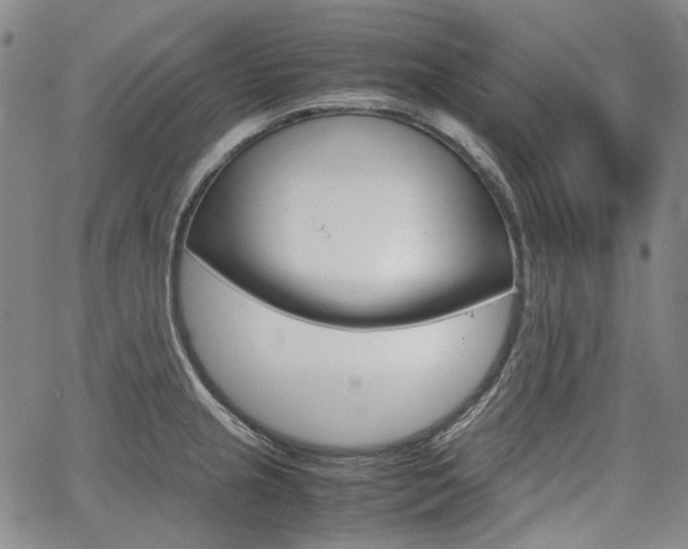 X0000067891237200604131005
