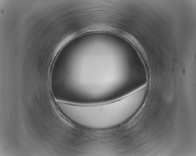 X0000067891242200604131005