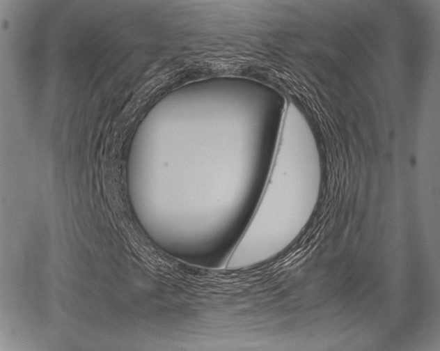 X0000067891249200604131005