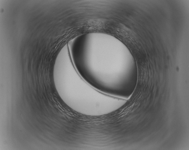 X0000067891250200604131005
