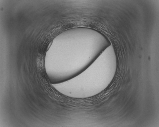 X0000067891251200604131005
