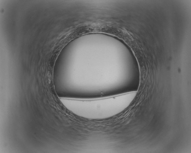 X0000067891253200604131005