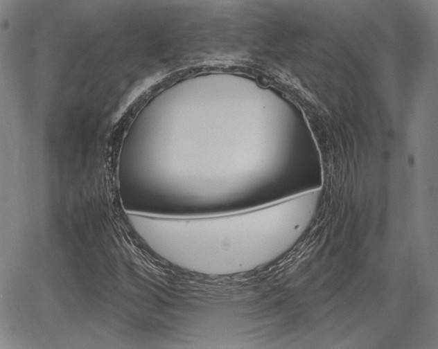 X0000067891256200604131005