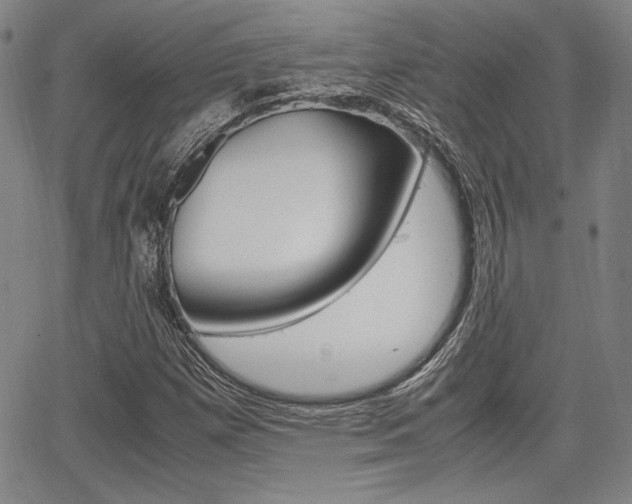 X0000067891257200604131005