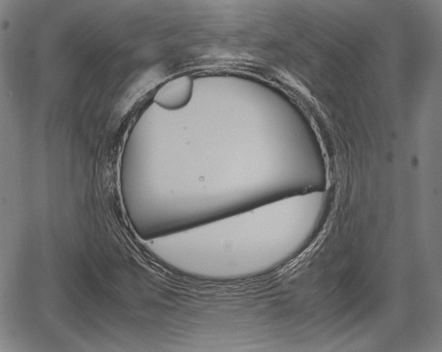 X0000067891259200604131005