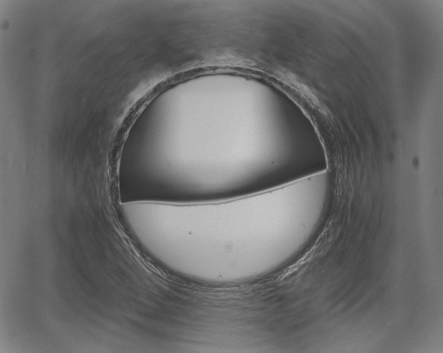 X0000067891264200604131005