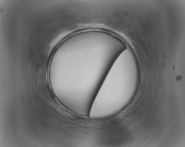 X0000067891271200604131004
