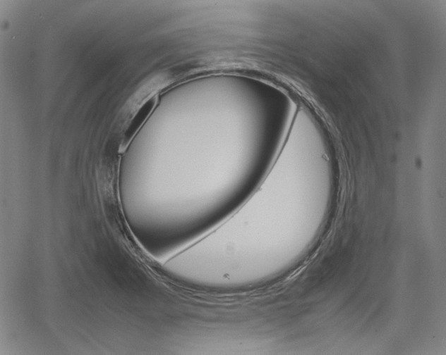 X0000067891273200604131004