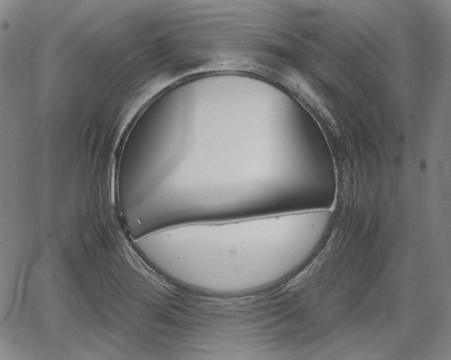 X0000067891276200604131004
