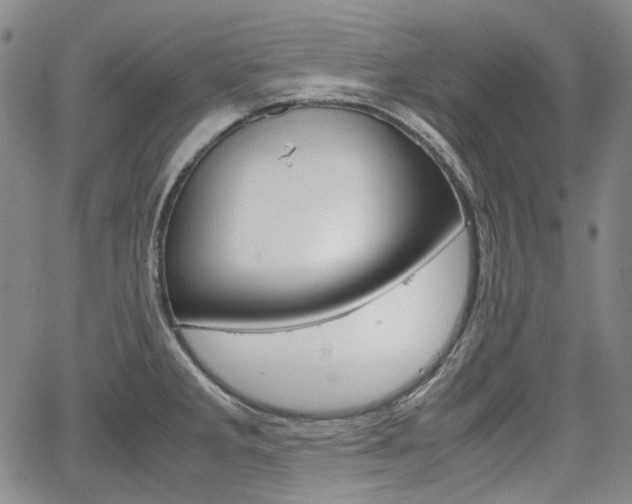 X0000067891285200604131004