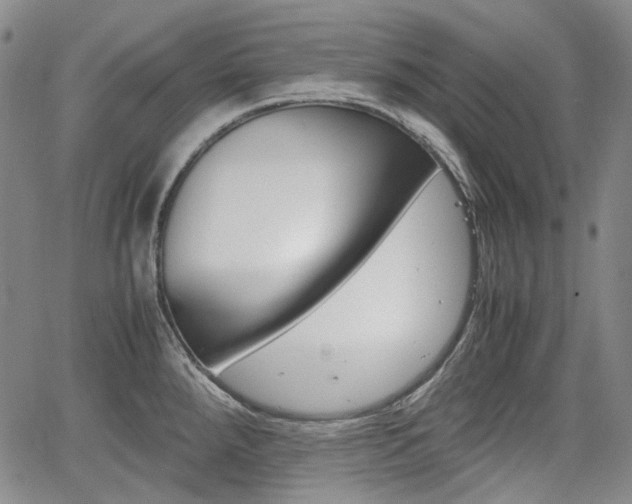 X0000067891288200604131004