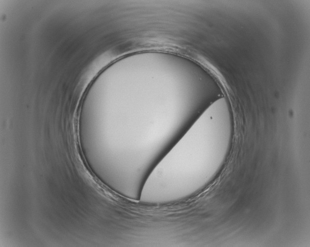 X0000067891291200604131004