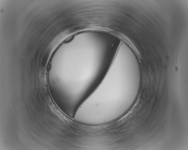 X0000067891292200604131004