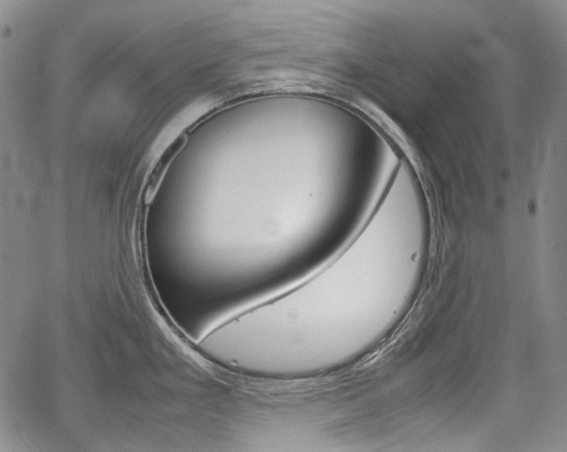 X0000067891293200604131004