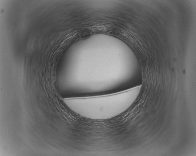 X0000067891297200604131003