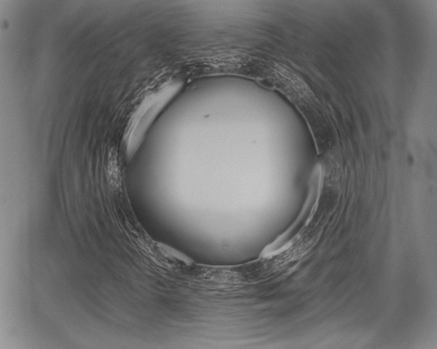 X0000067891298200604131003