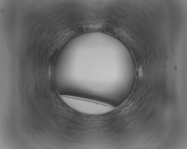 X0000067891299200604131003