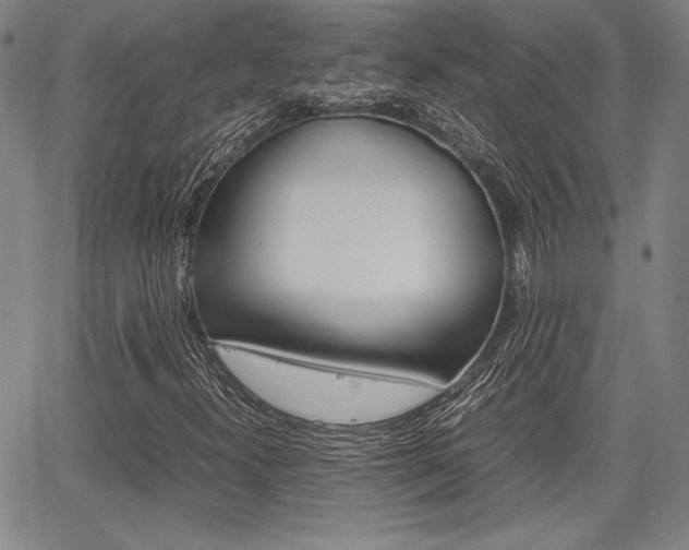 X0000067891300200604131003